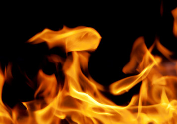 Similar image 303631