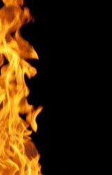 Similar image 303634