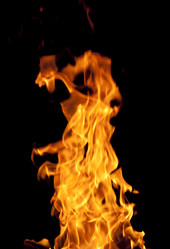 Similar image 303635