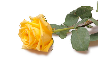 Similar image 303735