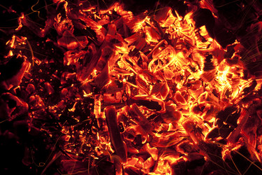 Similar image 303736