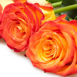 Similar image 303737