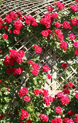 Similar image 303741