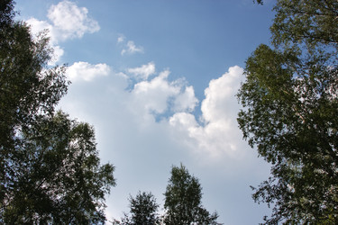 Similar image 303745