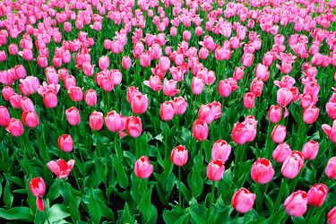 Similar image 303796