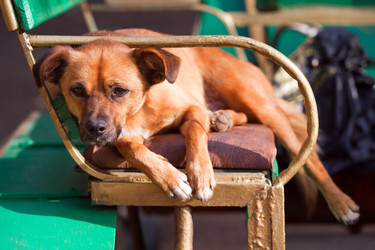 Similar image 303803