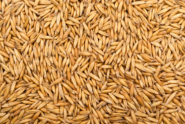 Similar image 303821