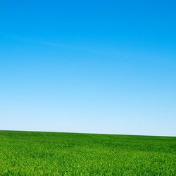 Similar image 303851