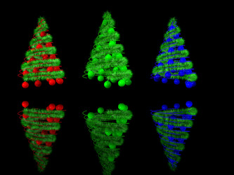 Similar image 303866