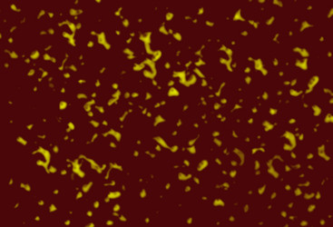 Similar image 304148