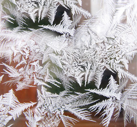 Similar image 304155