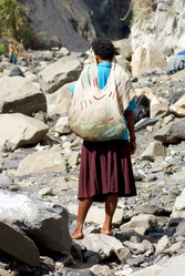 Similar image 304162