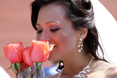 Similar image 304208