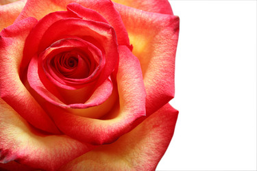 Similar image 304235