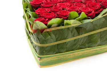 Similar image 304268