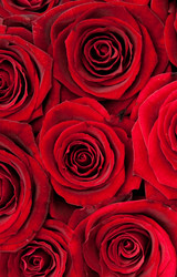 Similar image 304273