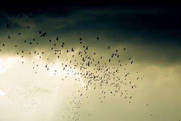 Similar image 304288