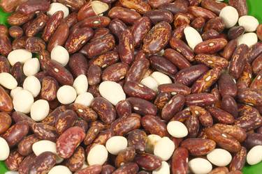 Similar image 304300