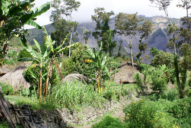 Similar image 304302