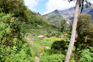 Similar image 304305