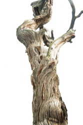 Similar image 304330