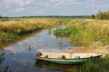 Similar image 304404