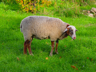 Similar image 304415