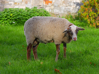 Similar image 304416