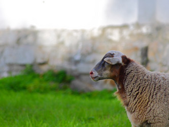 Similar image 304419