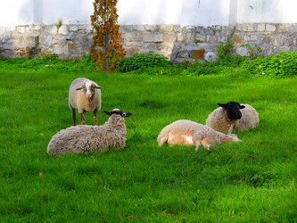 Similar image 304420