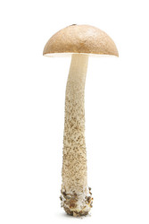 Similar image 304459