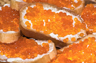 Similar image 304464