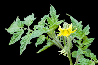 Similar image 304475