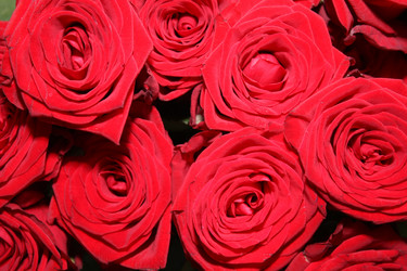 Similar image 304515