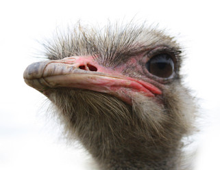 Similar image 304520