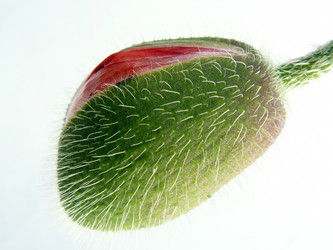 Similar image 304527