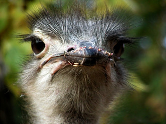 Similar image 304532