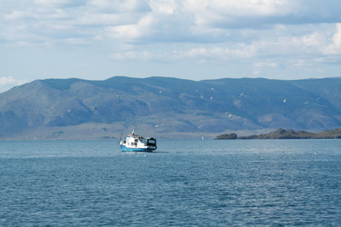 Similar image 304549