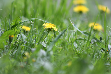 Similar image 304551