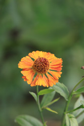 Similar image 304565