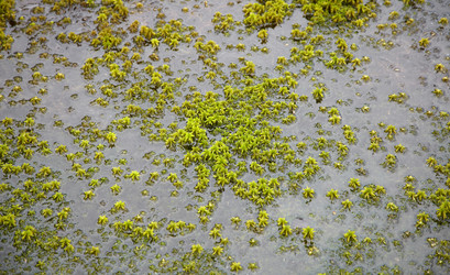 Similar image 304622