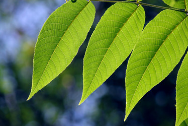 Similar image 304631