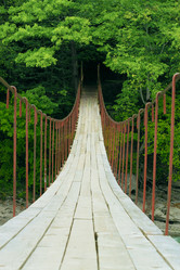 Similar image 304647