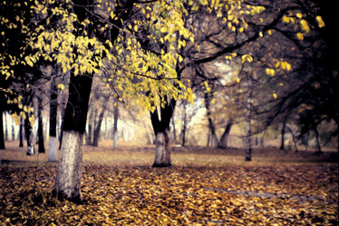 Similar image 304664