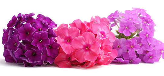 Similar image 304666