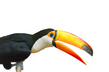 Similar image 304719