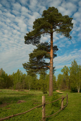 Similar image 304735