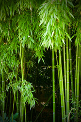 Similar image 304739