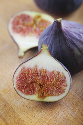 Similar image 304742