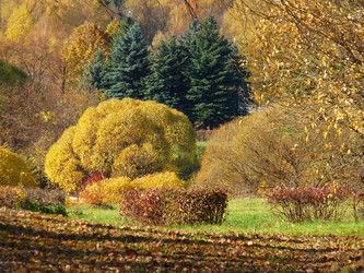 Similar image 304746